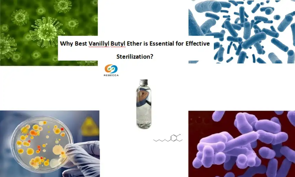 Why Best Vanillyl Butyl Ether is Essential for Effective Sterilization?